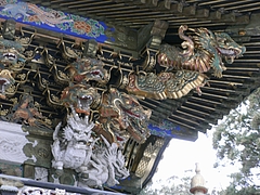 龍