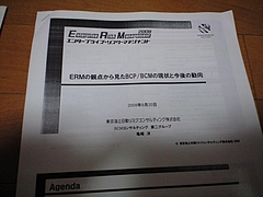 ERM¤Î´ÑÅÀ¤«¤é¸«¤¿BCP