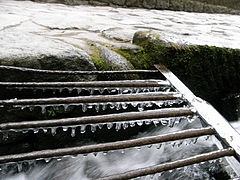 2010東照宮の氷柱