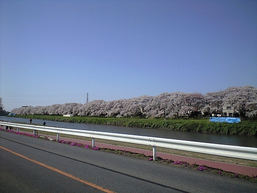 4月12日北越谷元荒川1
