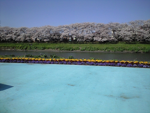 4月12日北越谷元荒川2