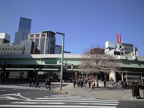 2011年4月5日日本橋