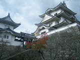 画像 097