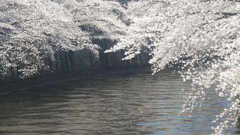 20190404_112146