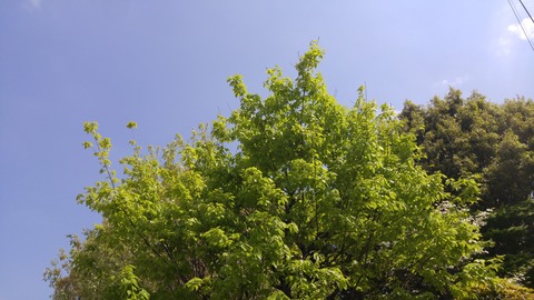 20180410_122724