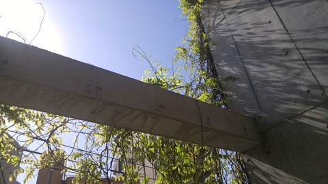 20180408_084545