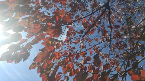 20181031_130614