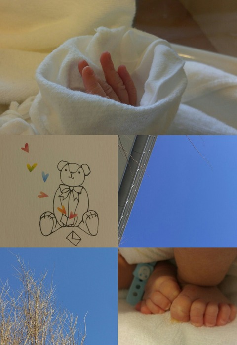 Collage 2018-01-13 15_43_42-1