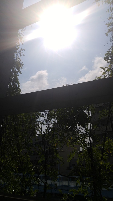 20180622_083527