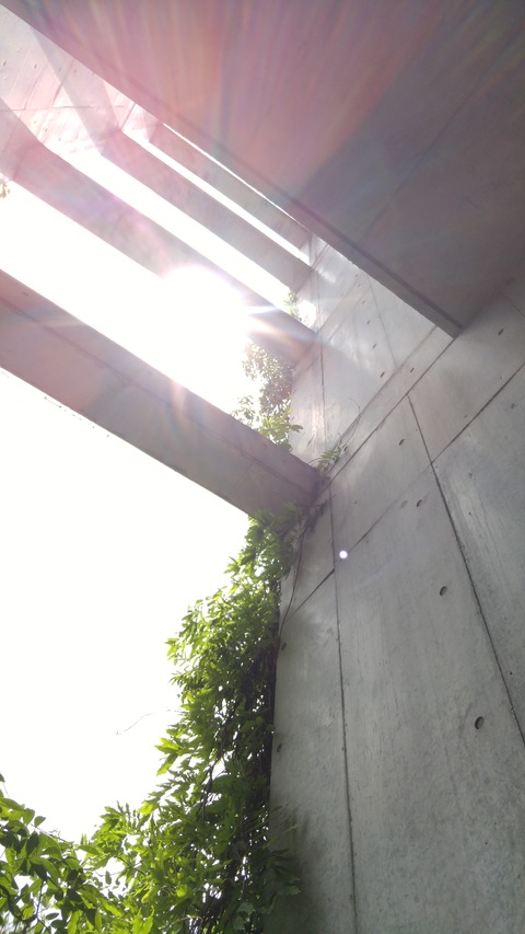 20170615_104255