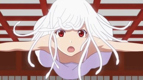 なでこ107