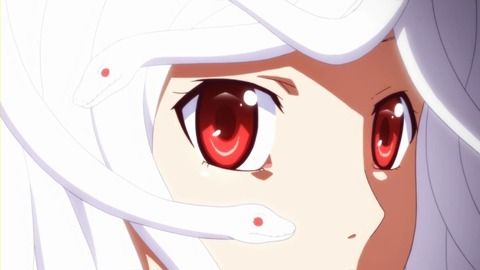 なでこ80