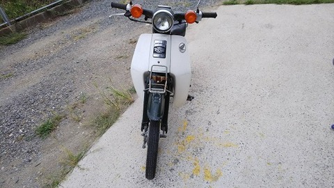 1537627286230
