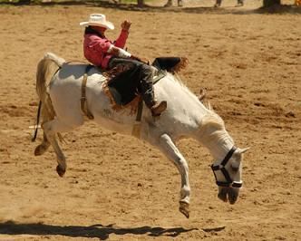 rodeo