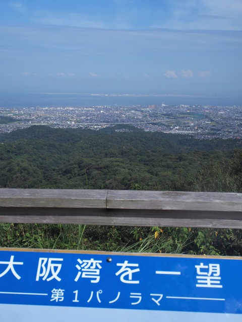 P9100557
