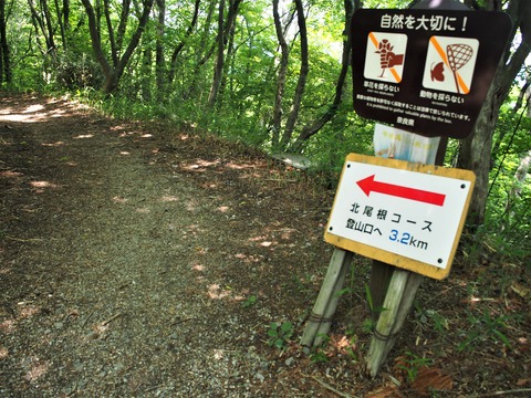 P6030103