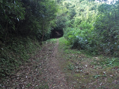 P9100595