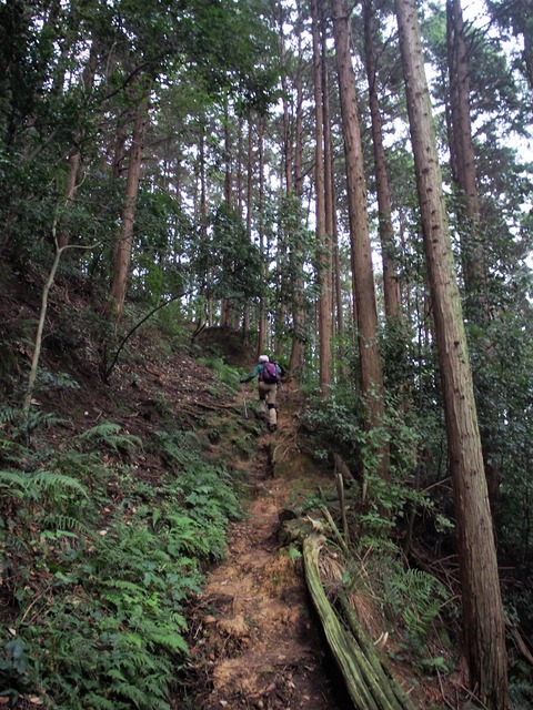 PA090033