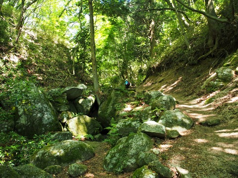 P6030030