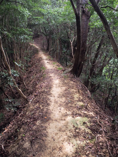 P9100605