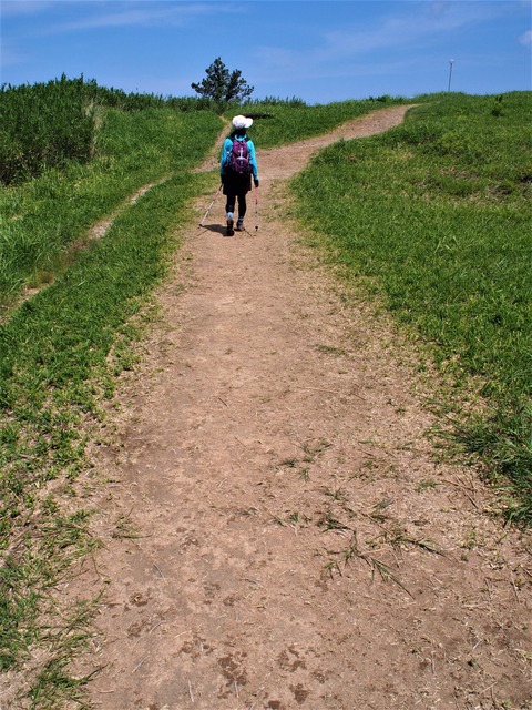 P6030060