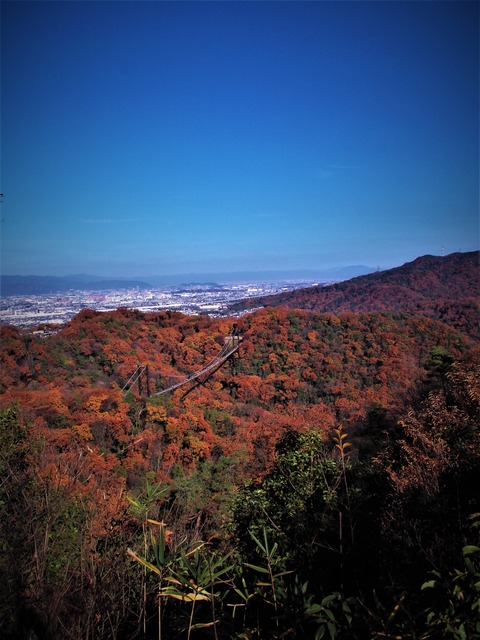 PC030055