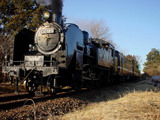 1a72342e.jpg