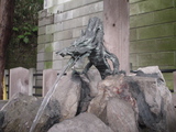 97cad829.JPG