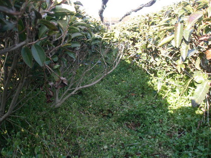 P3170971