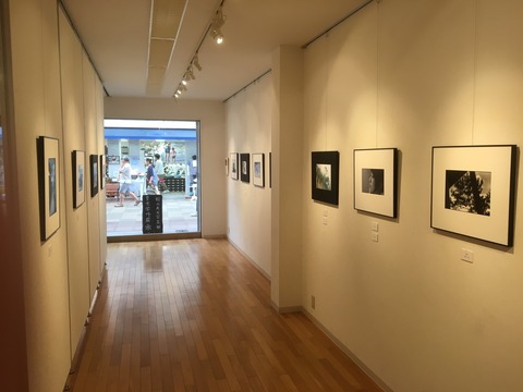 image8
