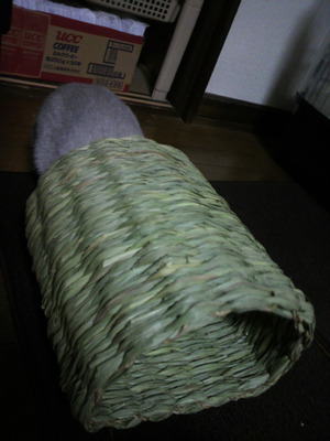 2012031823160000