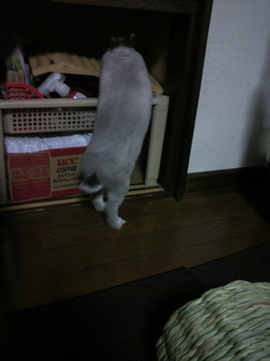 2012031823160001