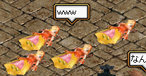 20060501Æü¾Æ¤±Ââ