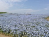 a93cbce9.jpg