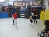 d3376114.jpg