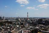 DSC_9544_1-s
