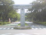 788d1cff.jpg