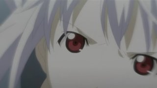 我が家のお稲荷さま。18話