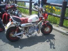 CIMG1228