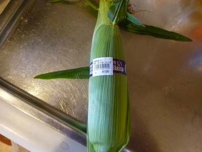 P1050160