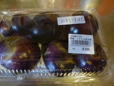 P1050161