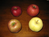 ���20120122