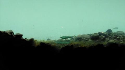 P_20190430_115305