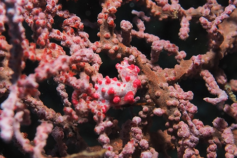 P6300137