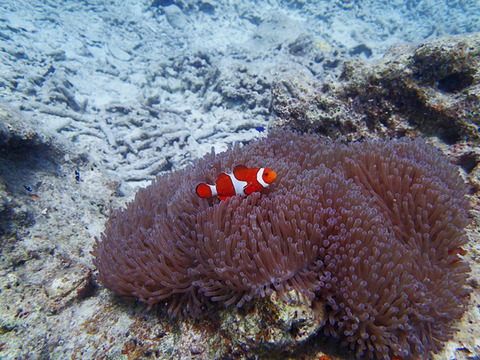 P6220016