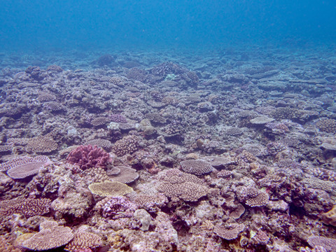 P6300165