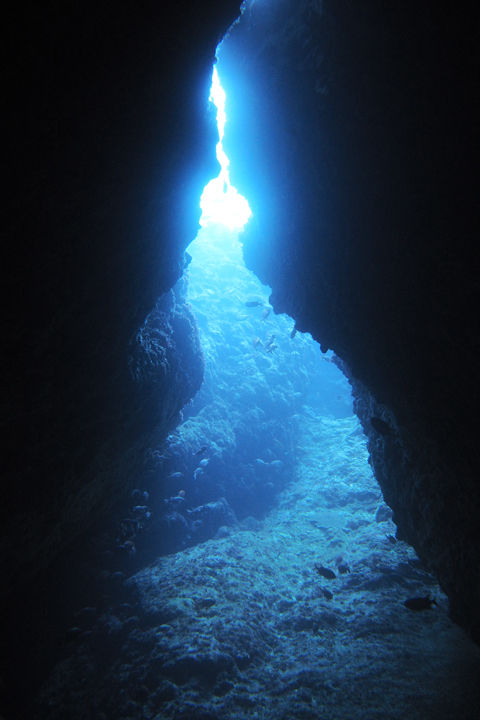 P6300152