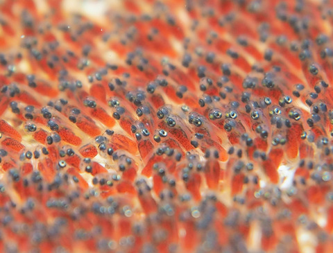 P8230022