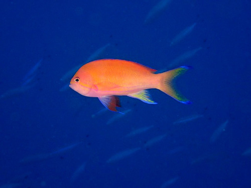 P7030831