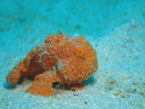 P7026474